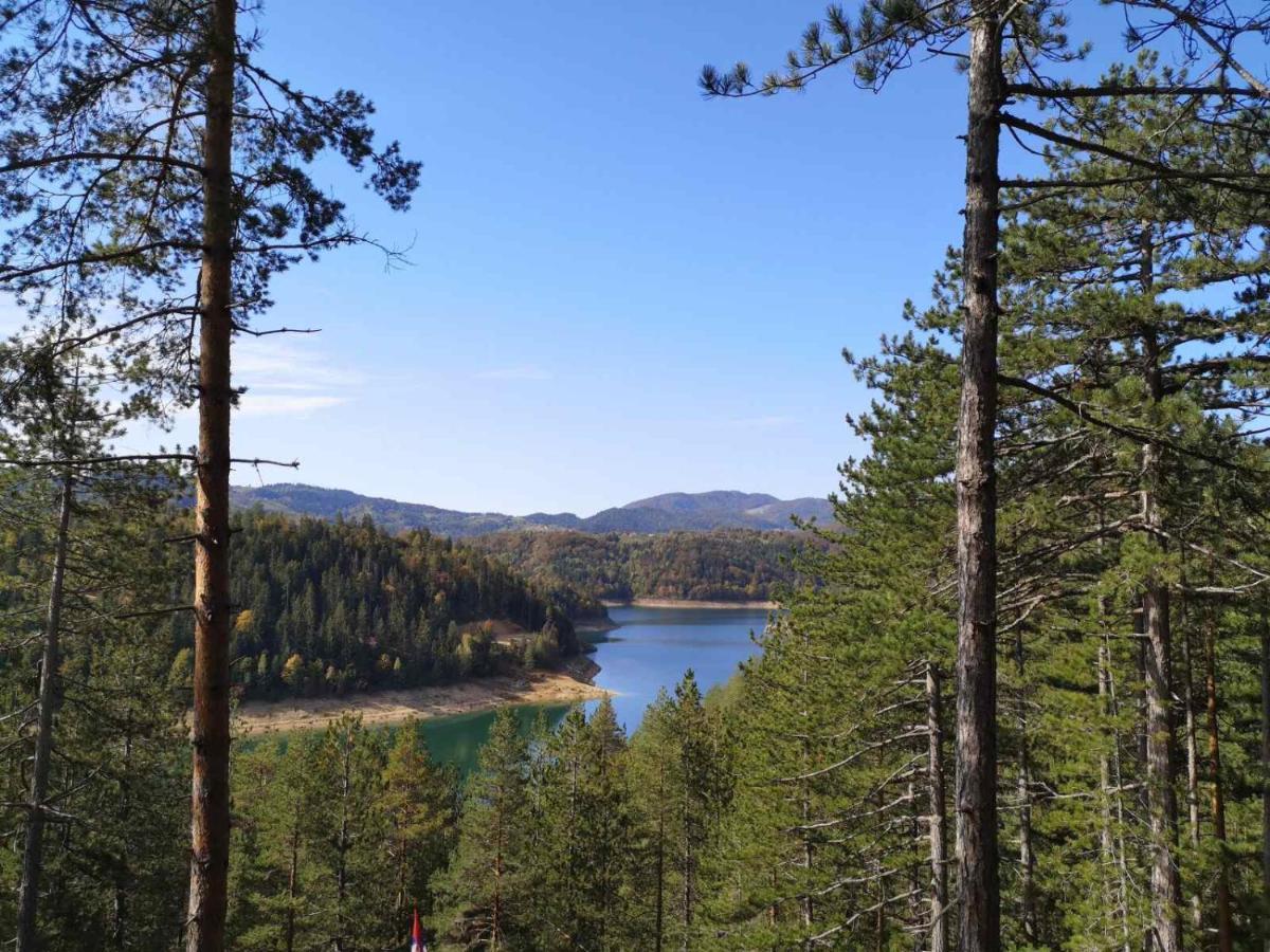Laki Apartman Zaovine Экстерьер фото